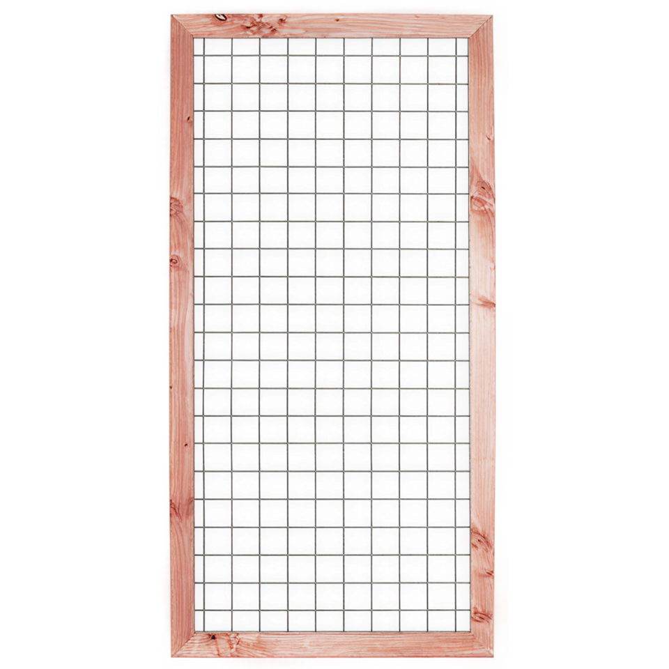 Douglas Betonijzertrellis 90 x 180cm met lijst