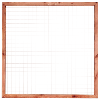 Douglas Betonijzertrellis 180 x 180cm met lijst