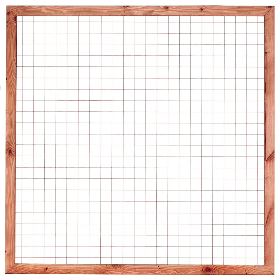 Douglas Betonijzertrellis 180 x 180cm met lijst